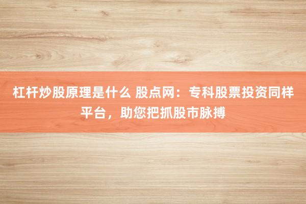 杠杆炒股原理是什么 股点网：专科股票投资同样平台，助您把抓股市脉搏