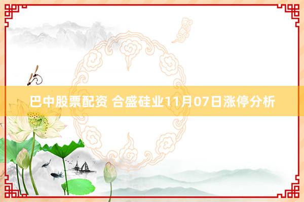 巴中股票配资 合盛硅业11月07日涨停分析